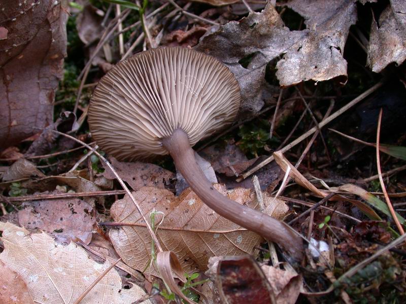 Prima escursione in montagna